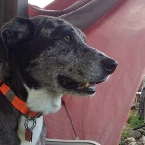 Meet your Posher, Sonja